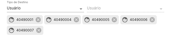 Tipo de destino e usuários selecionados